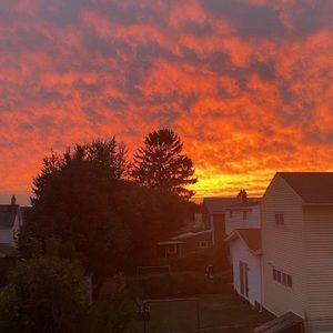 Meet your Posher, Ariel